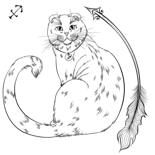 Sagittarius cat zvěrokruh line art — Stockový vektor