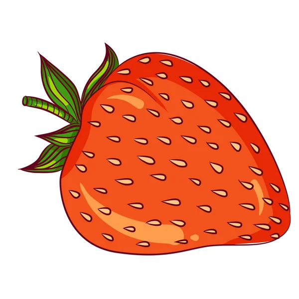 Celé jahody na bílém pozadí — Stockový vektor