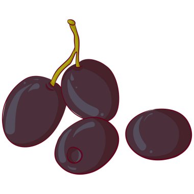 dört Siyah Zeytin
