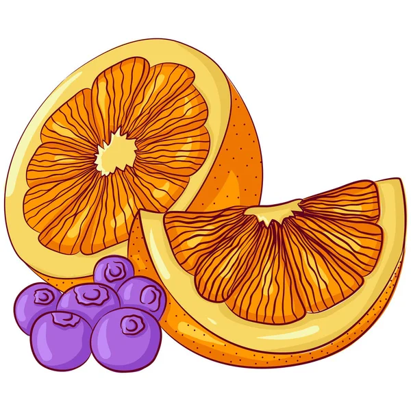 Mitad y rebanada de naranja con arándanos — Vector de stock