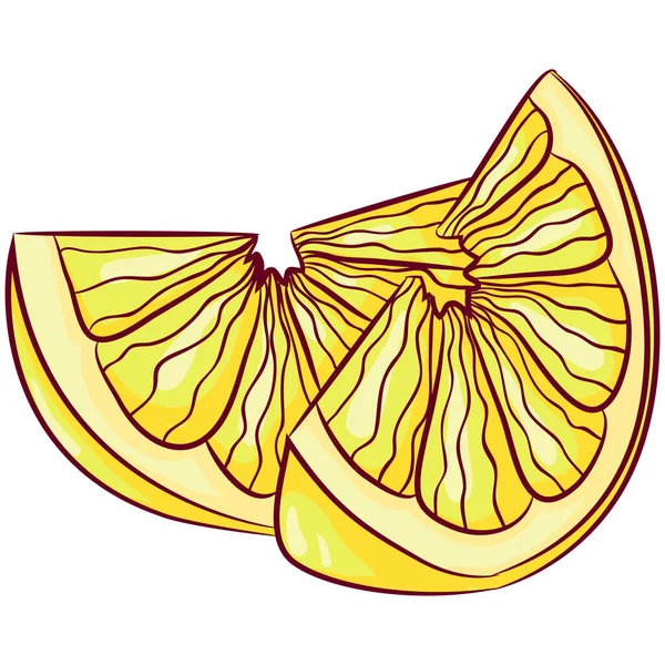 Векторная Карикатура Двух Кусочках Лимона Изолированных Белом Нарезанные Цитрусовые Органические — стоковый вектор
