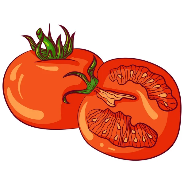 Ilustración Vectorial Dibujos Animados Dos Tomates Enteros Medio Aislados Blanco — Vector de stock