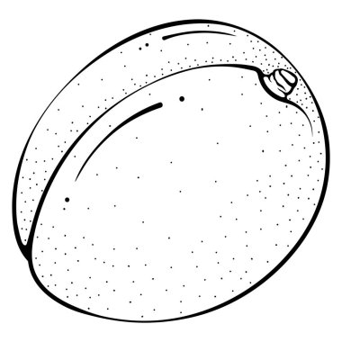 Tüm kayısı serisi.