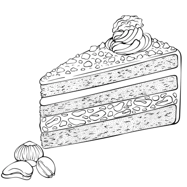 Pièce de gâteau aux noix — Image vectorielle