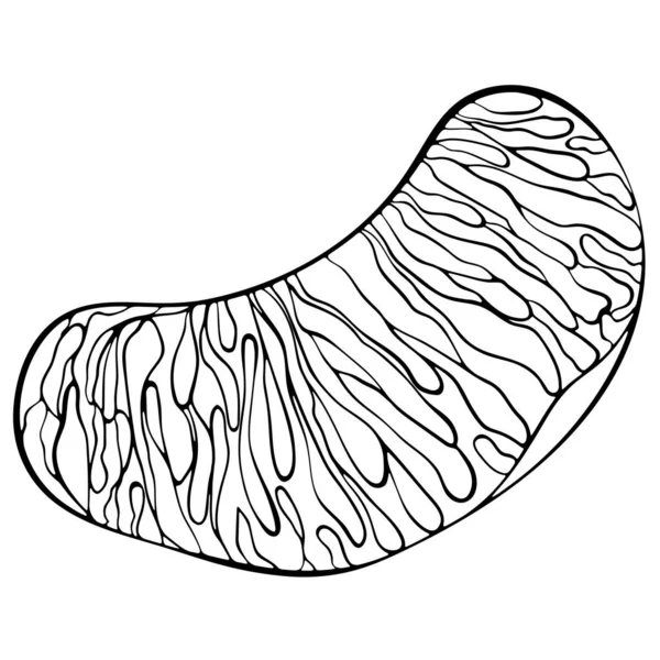 Tangerine σφήνα γραμμή τέχνης — Διανυσματικό Αρχείο