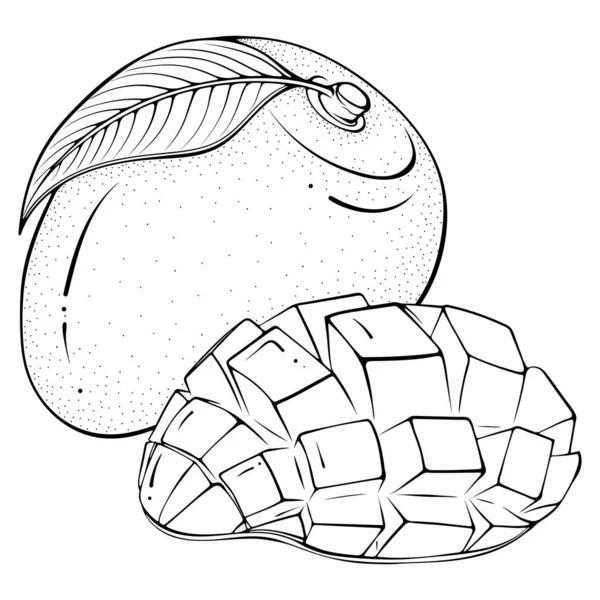 Целый и нарезанный половину манго — стоковый вектор