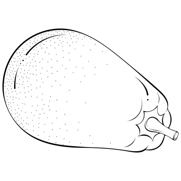 Arte de línea de papaya entera — Archivo Imágenes Vectoriales