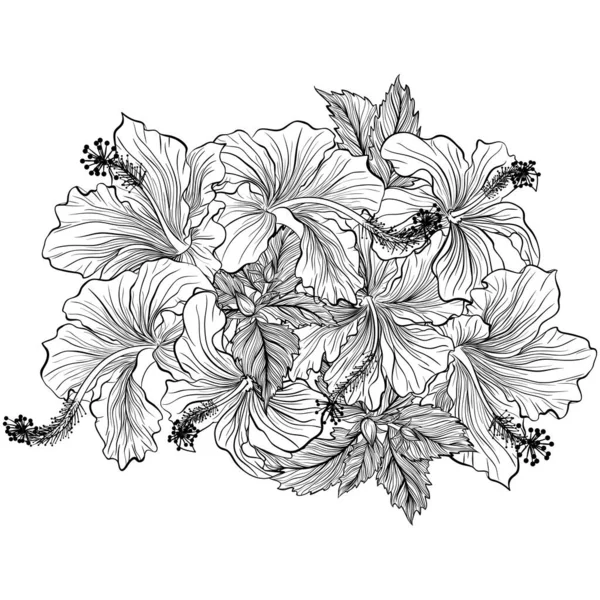 Buquê de flores com arte linha hibisco — Vetor de Stock