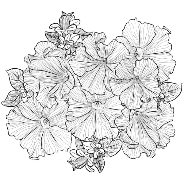 Blumenstrauß mit Petunien Linie Kunst — Stockvektor