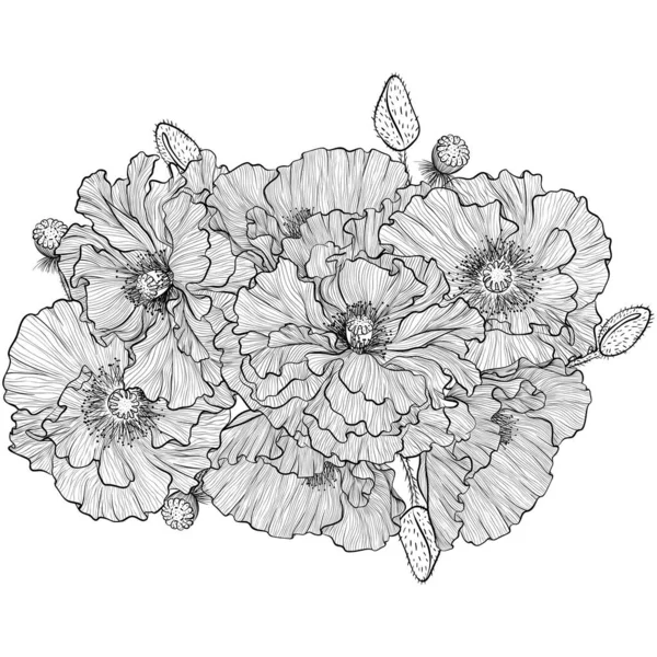Buquê de flores com arte linha papoilas — Vetor de Stock