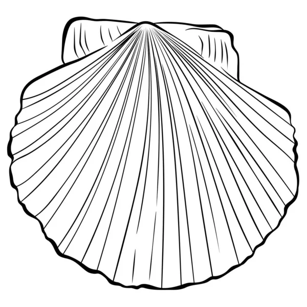 Scallop shell top view line art — Stockový vektor