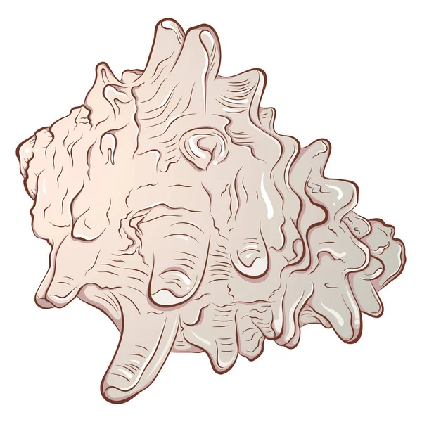 Spiral dikenli deniz kabuğu yan görünümü rengi — Stok Vektör