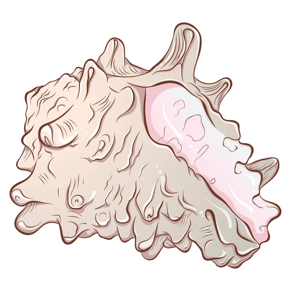 Spiraalvormige spiraalvormige schelp kleur — Stockvector