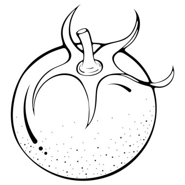 Tüm domates koleksiyonu.