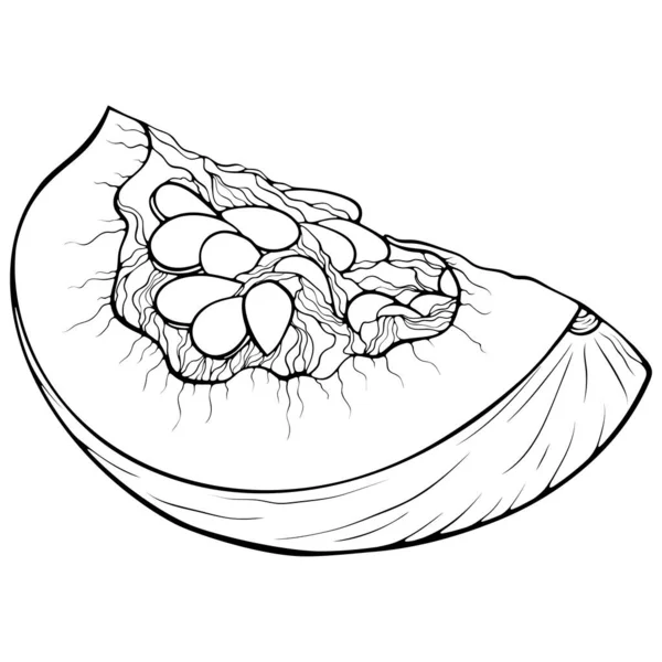 四分之一的南瓜 矢量插图手绘草图涂鸦风格 线条艺术植物性食物隔离在白色上 关闭薄片南瓜蔬菜 印刷用着色元件 — 图库矢量图片