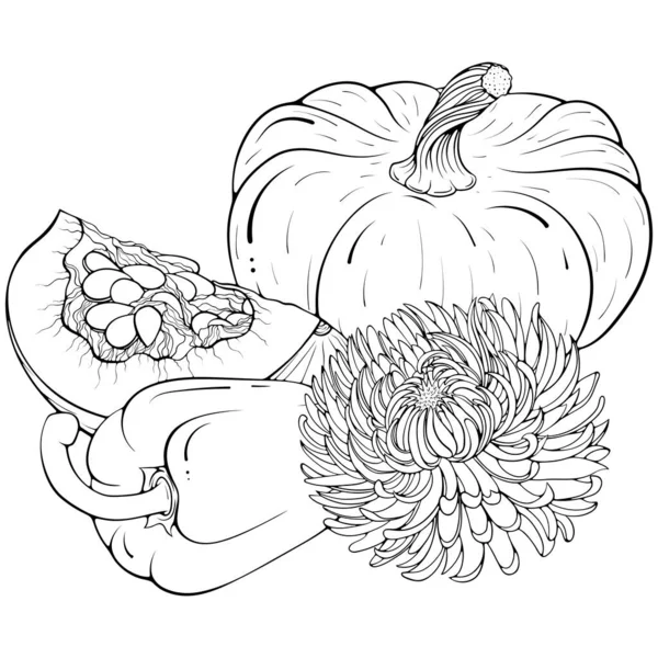 Nature Morte Avec Des Légumes Paprika Citrouille Fleur Illustrations Vectorielles — Image vectorielle