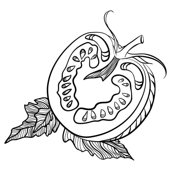 Halv Tomat Med Löv Vektorillustrationer Handritad Skiss Doodle Stil Linjekonst — Stock vektor