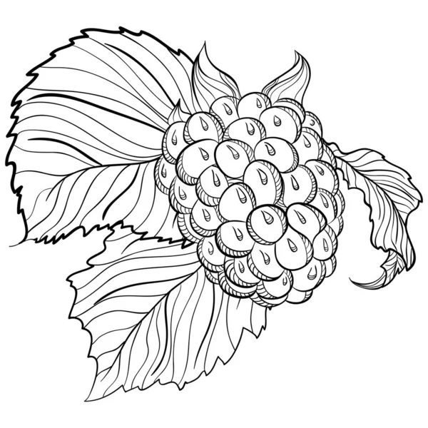 Ολόκληρο Βατόμουρο Φύλλα Εικονογραφήσεις Διάνυσμα Στο Χέρι Σχέδιο Doodle Στυλ — Διανυσματικό Αρχείο