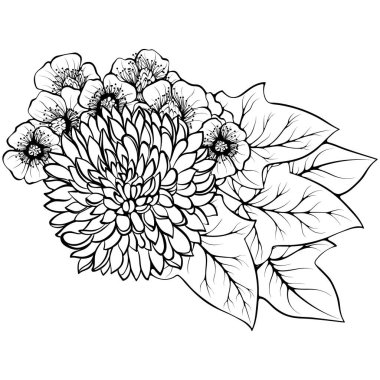 Bouquet with chrysanthemum, buttercups and ivy isolated on white. Vector illustration in sketch line art style. Hand drawn botanical drawings. Design coloring book, greeting card, print, invitation.