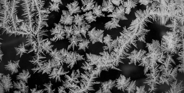 Balck Patrón Cristal Hielo Blanco Ventana Textura Monocromática Copos Nieve —  Fotos de Stock