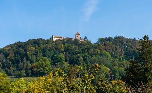 Burg Hohenklingen Zeleném Kopci Starém Historickém Městě Stein Rhein Schaffhausenu — Stock fotografie