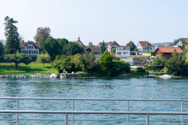 Ren nehri ve kıyı şeridi. Güneşli yaz gününde Rhein kasabasında, Stone 'da ağaçlar ve evler var.