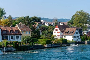 Ren nehri ve kıyı şeridi. Güneşli yaz gününde Rhein kasabasında, Stone 'da ağaçlar ve evler var.