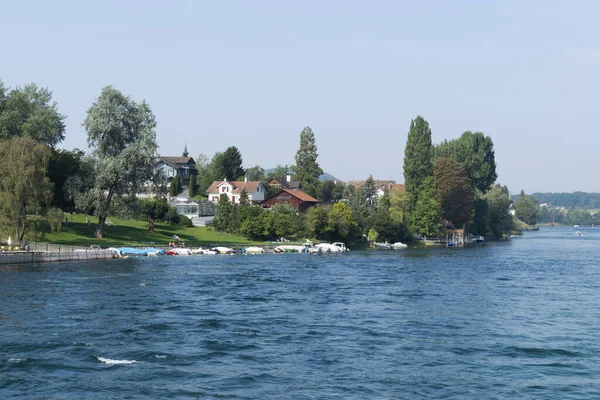 Ren nehri ve kıyı şeridi. Güneşli yaz gününde Rhein kasabasında, Stone 'da ağaçlar ve evler var.