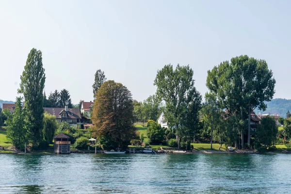 Ren nehri ve kıyı şeridi. Güneşli yaz gününde Rhein kasabasında, Stone 'da ağaçlar ve evler var.