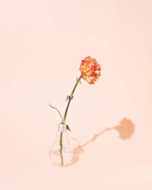 Turuncu renkli pastel bir ampulde turuncu karanfil. Minimum aşk düzlüğü.
