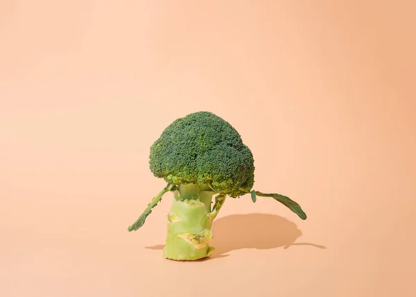 Turuncu Arka Planda Yeşil Sağlıklı Brokoli Yerleşim Alanı Yiyecek Konsepti — Stok fotoğraf