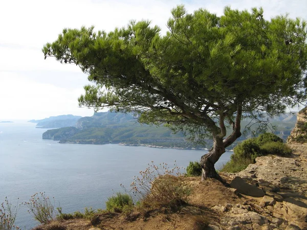 Route Des Crtes Entre Ciotat Cassis — Stock fotografie