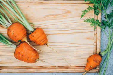 Taze toplanmış taze organik havuç ve yeşil yapraklar.