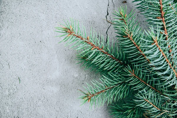 Vista superior de Navidad o invierno, diseño de fondo de Año Nuevo con abeto —  Fotos de Stock