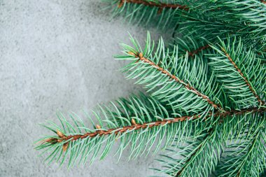 Top view of Christmas or winter, New Year background layout with fir tree branch over gray background