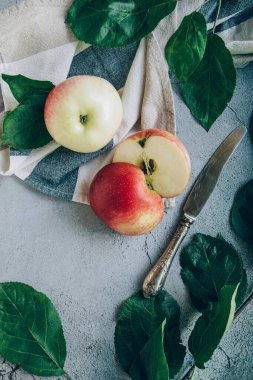 Yeni toplanmış taze kırmızı yeşil elmaların peçete ya da havlu ve bıçağın üzerindeki görüntüsü.
