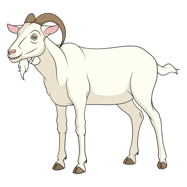 Illustration Couleur Avec Une Chèvre Objet Vectoriel Isolé Sur Fond — Image vectorielle