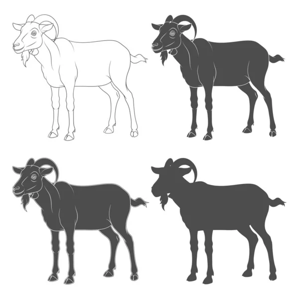 Conjunto Ilustrações Preto Branco Com Uma Cabra Objetos Vetoriais Isolados — Vetor de Stock