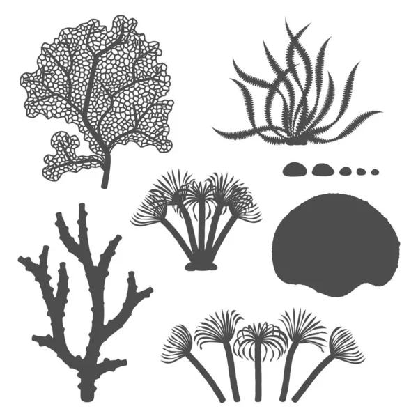 Набор Черно Белых Иллюстраций Кораллами Водорослями Изолированные Векторные Объекты Белом — стоковый вектор