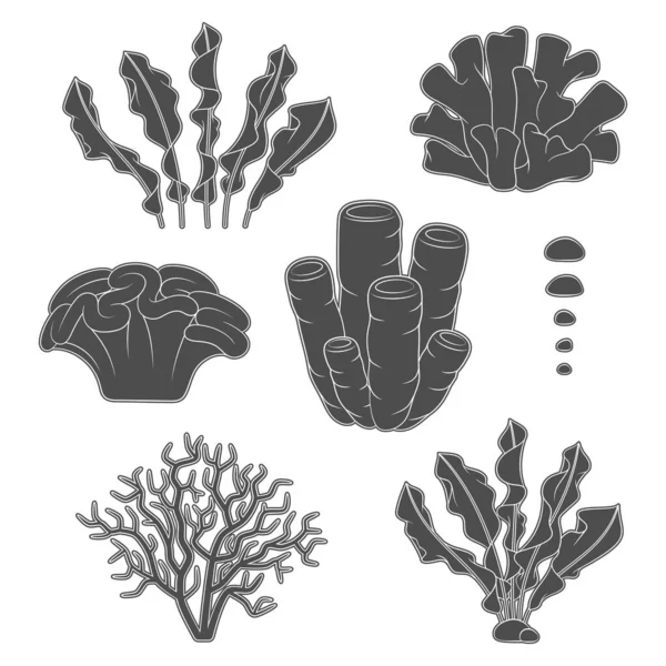 Set Illustrazioni Bianco Nero Con Coralli Alghe Oggetti Vettoriali Isolati — Vettoriale Stock