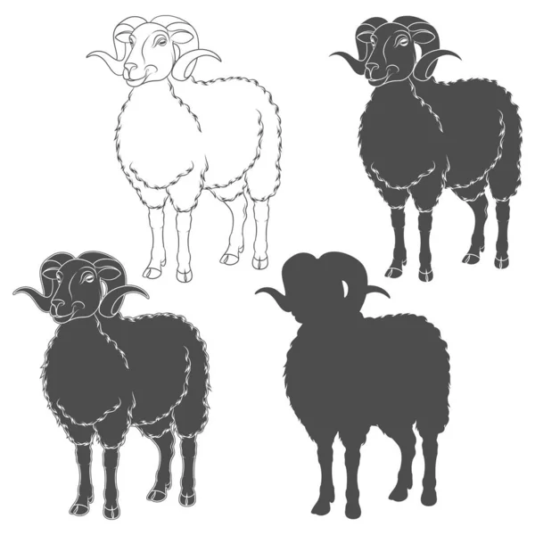 Set Black White Illustrations Ram Sheep Isolated Vector Objects White — Stock Vector
