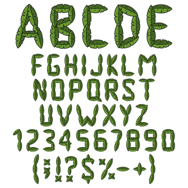 Alphabet Letters Numbers Signs Green Leaves Isolated Vector Objects White — Stock Vector