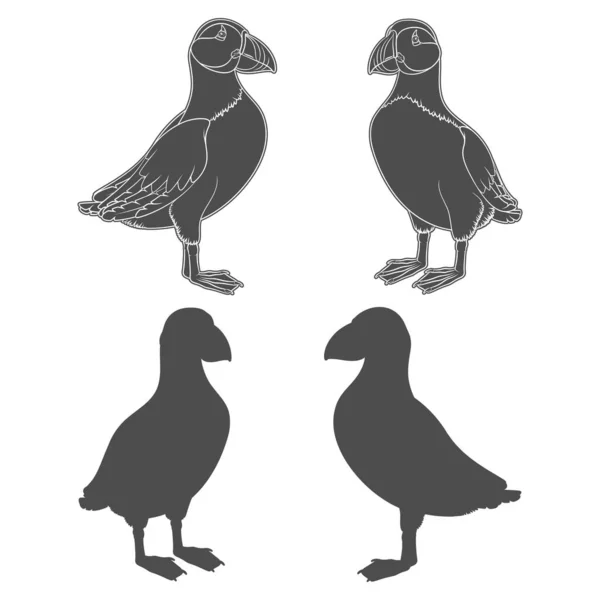 Set Illustrazioni Bianco Nero Con Puffin Bird Oggetti Vettoriali Isolati — Vettoriale Stock