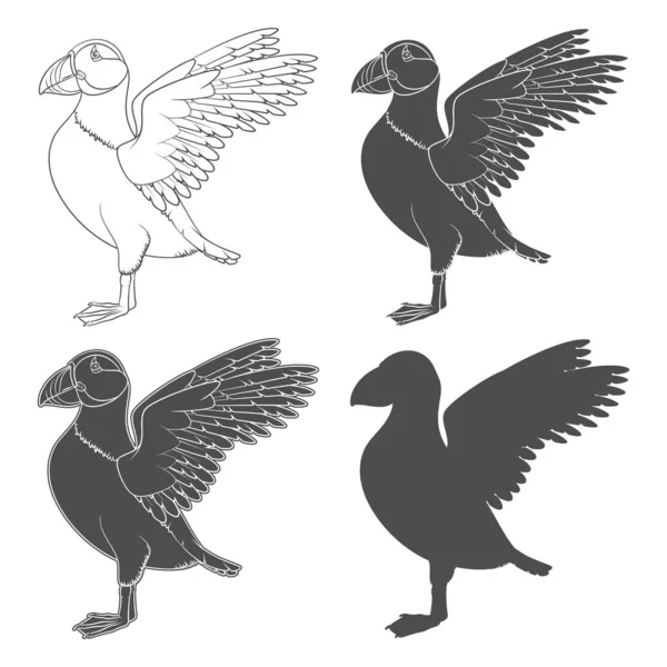 Set Illustrazioni Bianco Nero Con Puffin Bird Oggetti Vettoriali Isolati — Vettoriale Stock