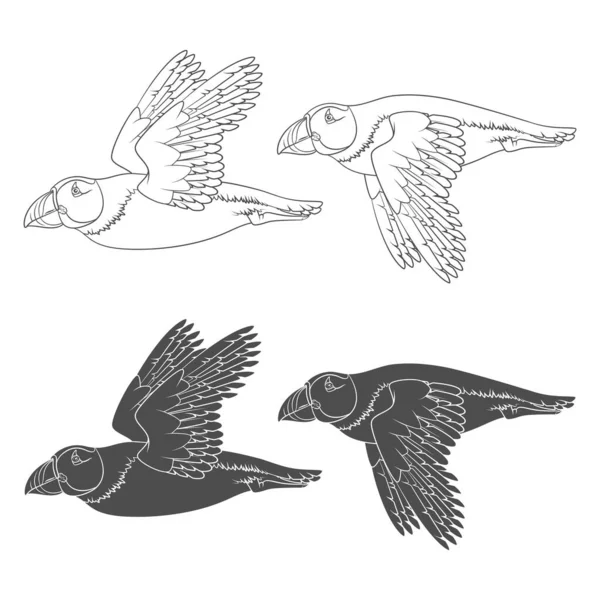 Set Illustrazioni Bianco Nero Con Uccello Puffin Volante Oggetti Vettoriali — Vettoriale Stock