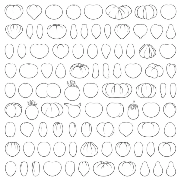 Set Black White Illustrations Tomatoes Various Varieties Shapes Isolated Vector — Stock Vector