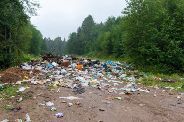 Arkhangelsk Bölgesi, Rusya - 12 Ağustos 2021: Çöplük. Yeşil ormandaki yolda büyük bir çöp yığını.