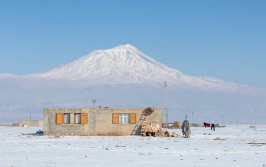 Soğuk kış koşulları ve arka plan, Ararat Dağı, Tarım, Türkiye