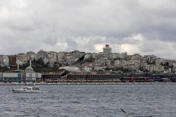 Estambul Turquía Octubre 2021 Galataport Una Región Donde Los Cruceros —  Fotos de Stock