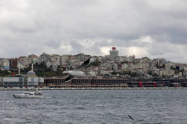 Istanbul Turecko Říjen 2021 Galataport Region Kde Turistické Výletní Lodě — Stock fotografie